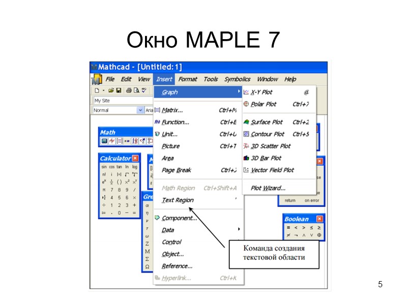 Окно MAPLE 7  5